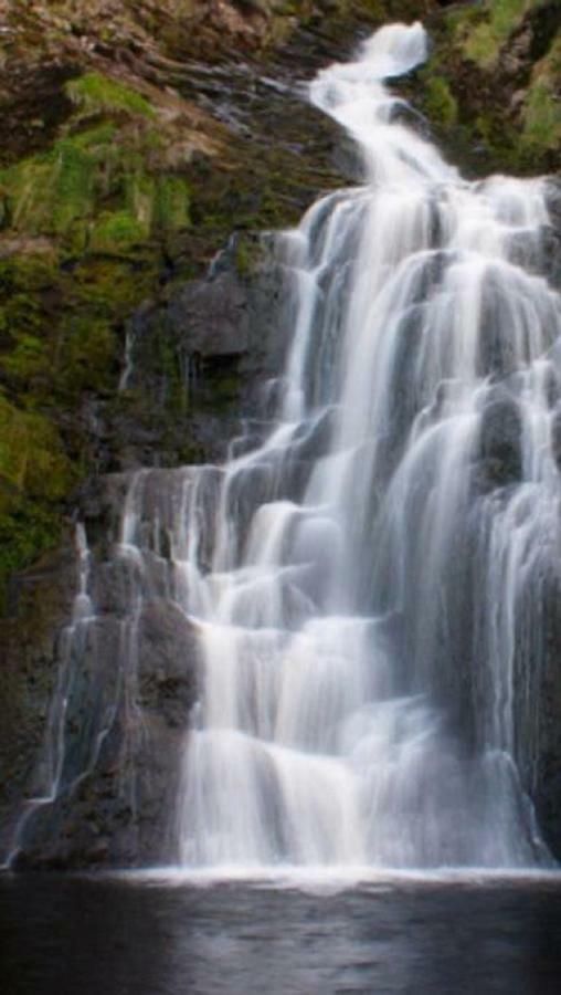 Teach Traigheanach Villa Donegal Town Dış mekan fotoğraf